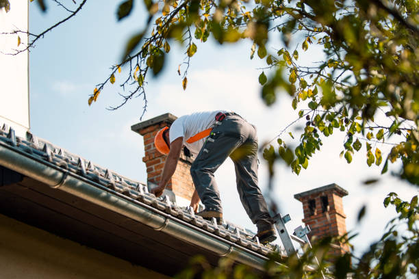 Best Commercial Roofing Services  in Newburgh, IN